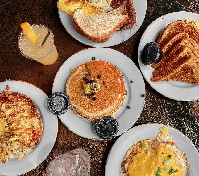 Where to Feed Tarpon While Dining in Islamorada? 2 Hungry Tarpon Restaurant Breakfast